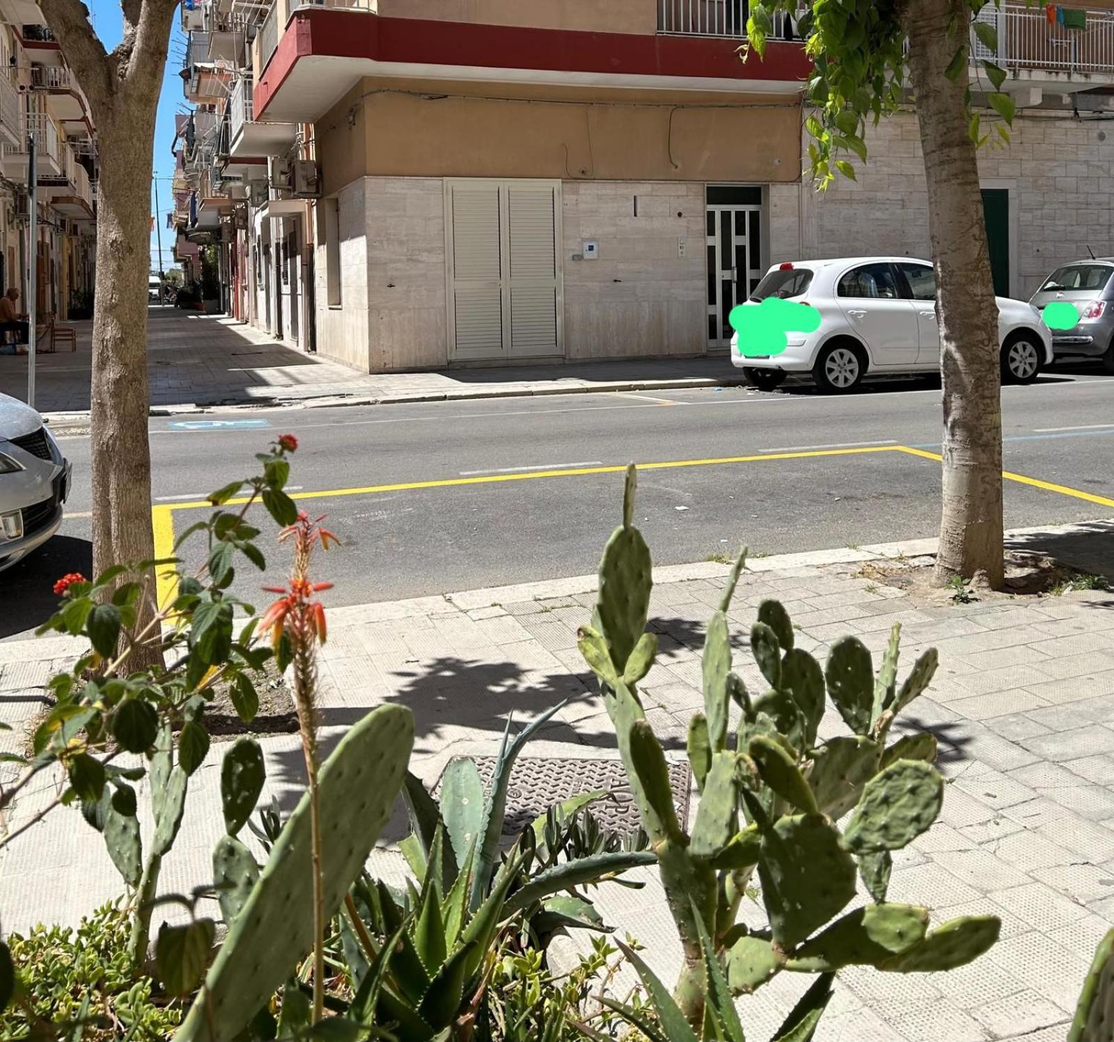 Appartamento Centralissimo Zona Terme Margherita Di Savoia Exterior photo